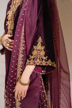 RT1214 - Baroque Winter  Embroidered Velvet 3piece suit