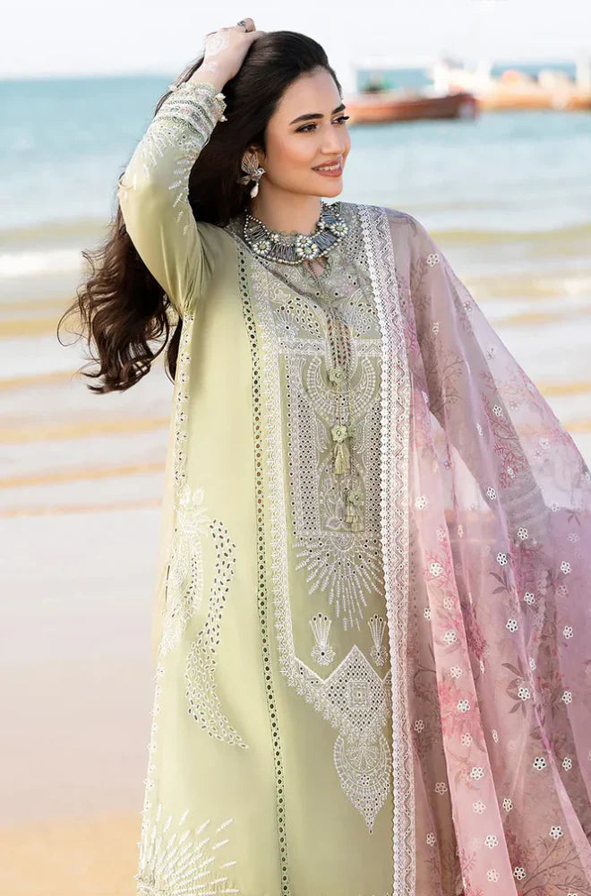 RT1309-Qalamkar - Summer 3PC Lawn Chicken Kari Embroidered Suit