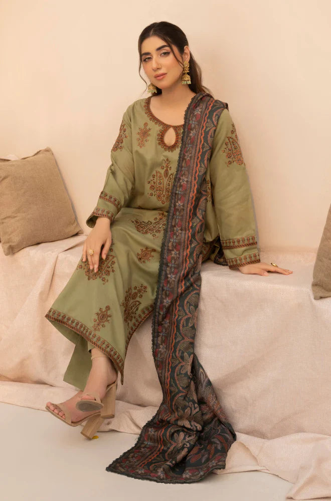RT1227-Mohagni - Winter 3PC Dhanak Embroidered Suit