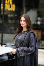 RT1250-Libass - Winter 3PC Dhanak Embroidered Suit