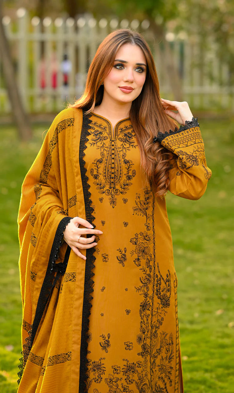 RT1290-Libass - Winter 3PC Dhanak Embroidered Suit