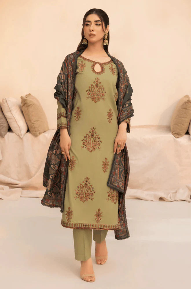 RT1227-Mohagni - Winter 3PC Dhanak Embroidered Suit