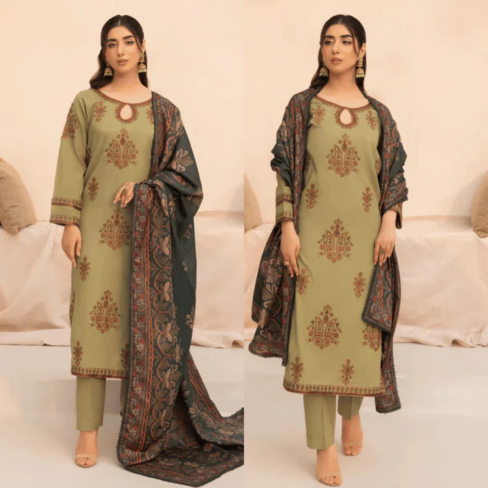 RT1227-Mohagni - Winter 3PC Dhanak Embroidered Suit