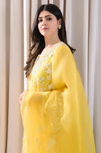 RT429- 3PC Lawn Embroidered Shirt With Organza Embroidered Dupatta