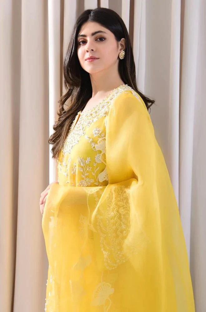 RT429- 3PC Lawn Embroidered Shirt With Organza Embroidered Dupatta